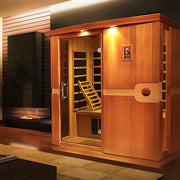 Caldera 59-Inch Whirlpool Steam Shower Tub Combo